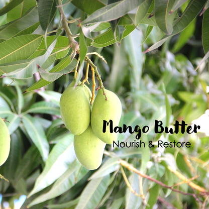 Vitamin B5 Mango Butter Cream