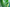 Promotion banner