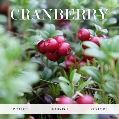 Vitamin B5 Cranberry Butter Cream