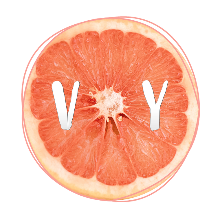 Vitamin You Cosmetics Logo V Y Logo Grapefruit logo Citrus slice skincare skin care logo fun unique sensitive skin solutions