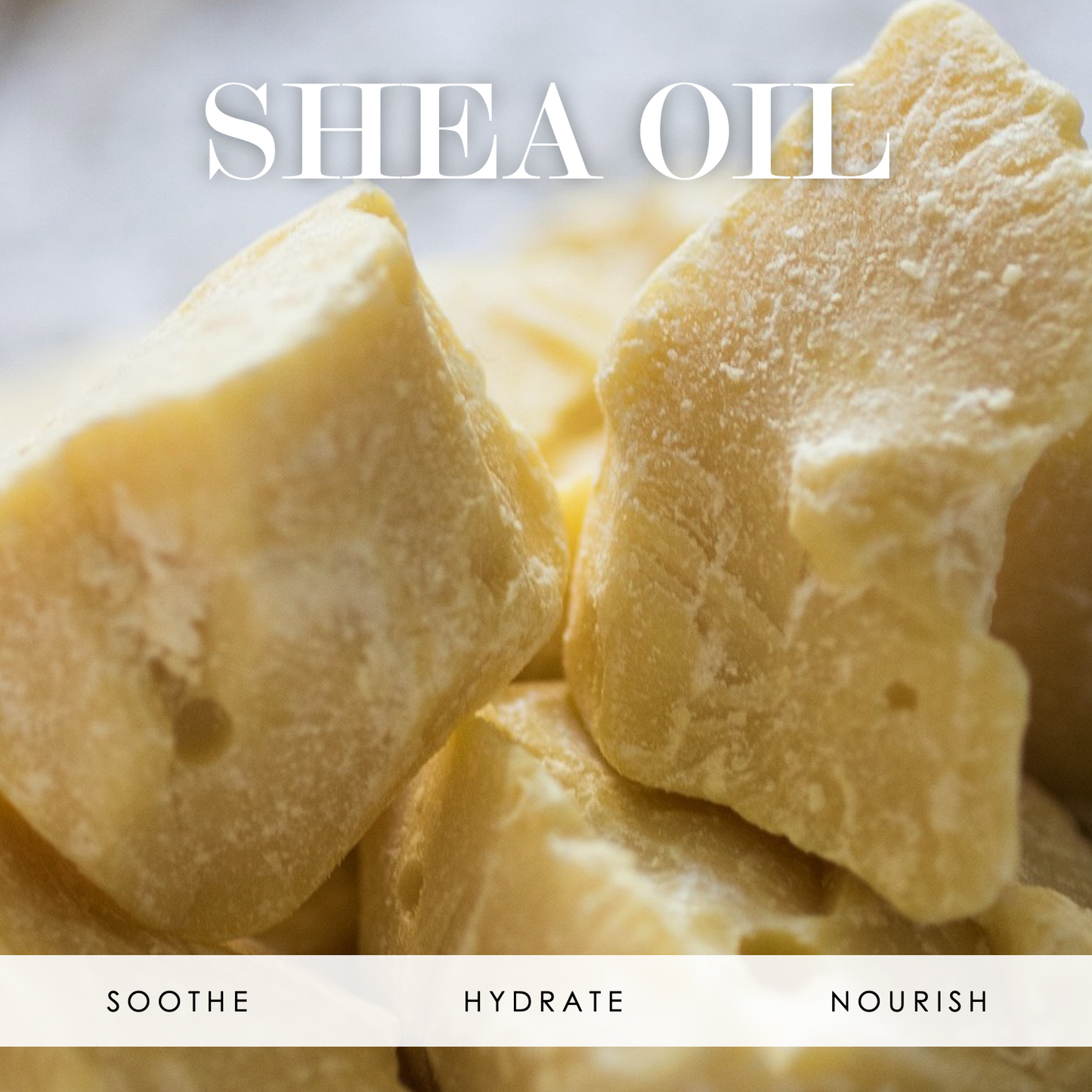 Chunks of shea butter with the words "Shea Oil" at the top and "Soothe, hydrate, and nourish" at the bottom.