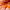 Image of orange pumpkin with the word "Pumpkin" at the top and "rejuvenate, enrich, and resurface" at the bottom.