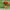 Image of strawberries with the words "Strawberry" at the top and "Protect", "Nourish", and "Hydrate" at the bottom.